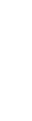 viseuri