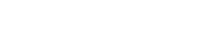 viseuri
